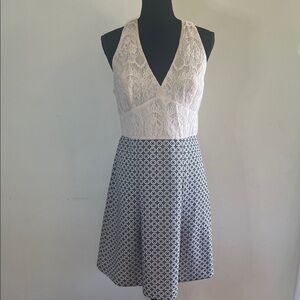 Adrianna Papell Pink and Navy Blue Asymmetrical Dress